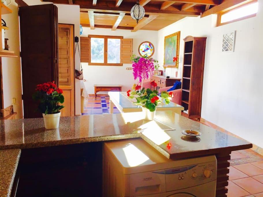 La Rochina Apartman Granada Kültér fotó